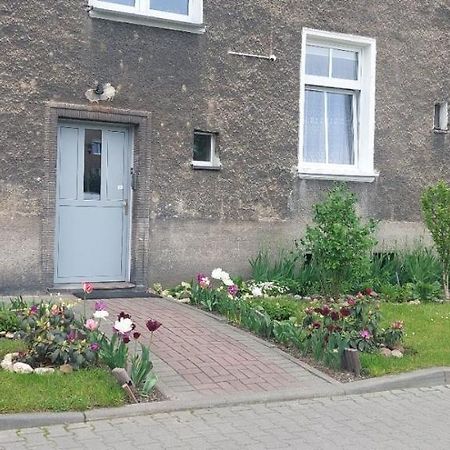 Apartament W Centrum Nysa Extérieur photo