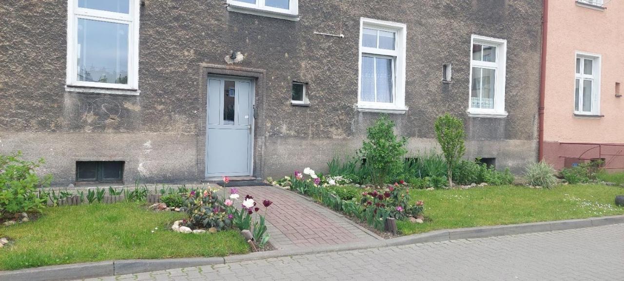 Apartament W Centrum Nysa Extérieur photo